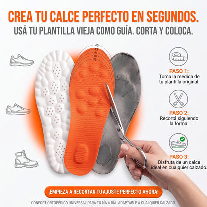 Plantillas 4D Nidra